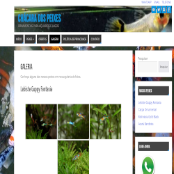 ChacaraPeixer_250x250